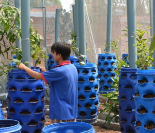 Tái Sử Dụng Phuy Nhựa: Giải Pháp Tiết Kiệm Và Thân Thiện Với Môi Trường