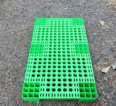 Pallet nhựa 100 x 100 x 60